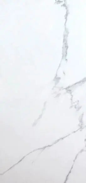 Carrara Blanco 12X24 Wall And Floor Tile